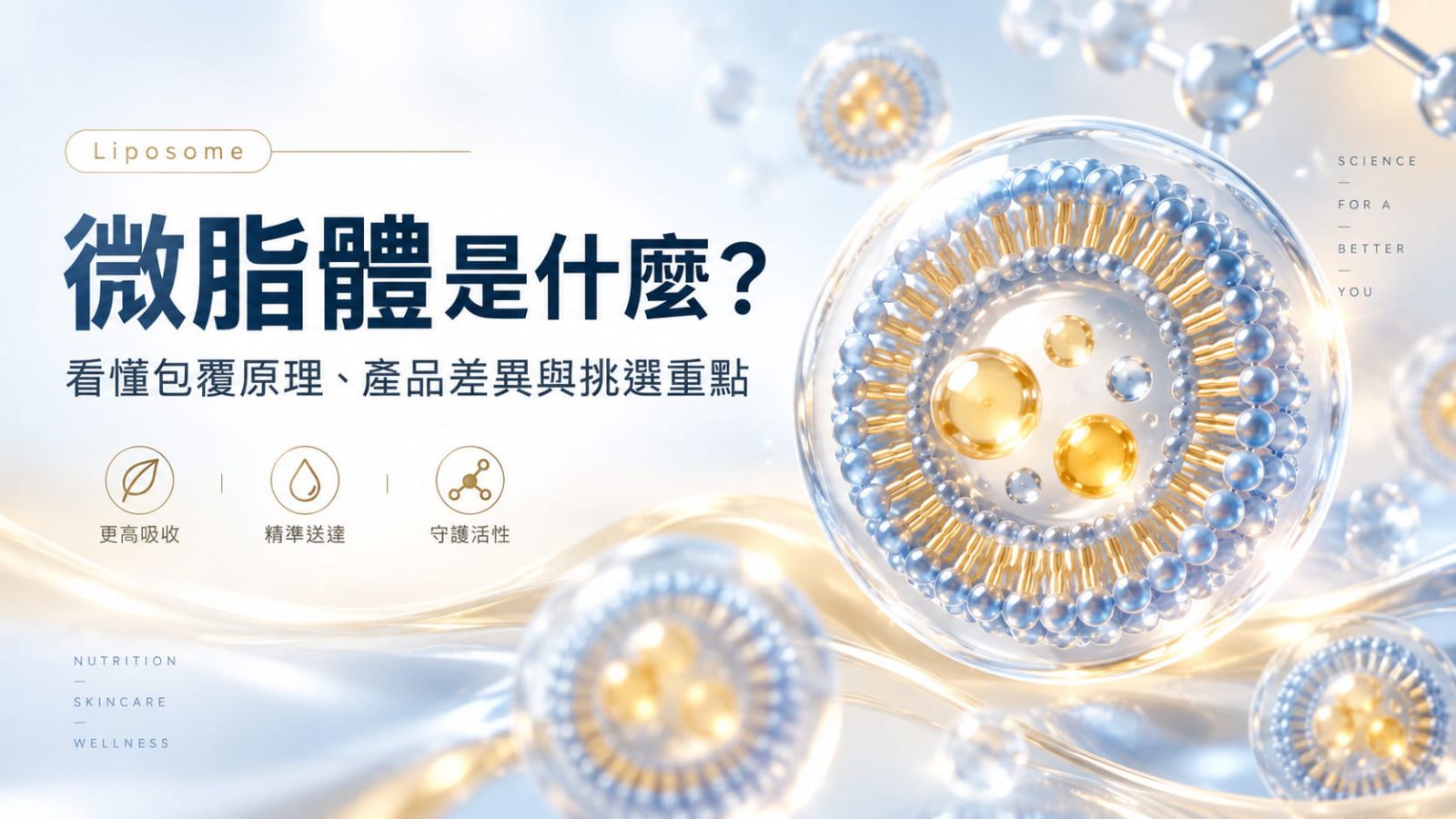 微脂體是什麼?看懂包覆原理、產品差異與挑選重點,避免只看名稱就下判斷